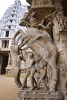 Srirangam - Tiruchirapalli - Tamil Nadu - India