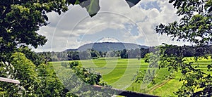 Srlanka beatyful sky and the field