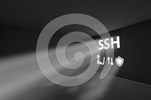 SSH rays volume light concept 3d