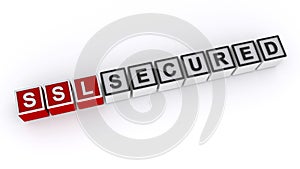 Ssl secured word block on white