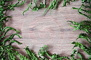 SSummer composition. Frame of dry fern leaves on a wooden background.