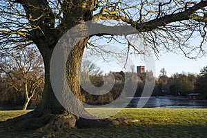 St. Albans Cathedral Viewed from Verulamium Park