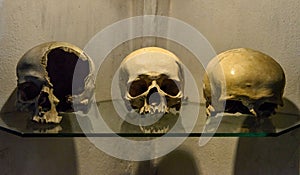 St Barbara's Cathedral, Kutna Hora