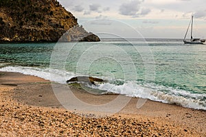 St. Barths Island, Caribbean. The famous Shell Beach, in Saint BartÃ¢â¬â¢s Caribbean