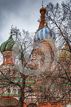 St. Basil`s Cathedral in the thick branches of trees. Close-up. Vertical