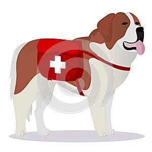 St Bernard dog lifesaver