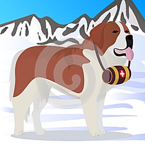 St Bernard dog lifesaver in mountains