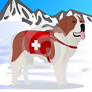 St Bernard dog lifesaver in mountains