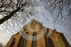 St. Catherine`s Priory, Ribe, Denmark photo