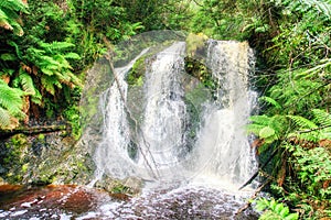 St Clair National Park, Tasmania