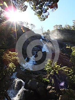 St Columba Falls, Pyengana, Tasmania