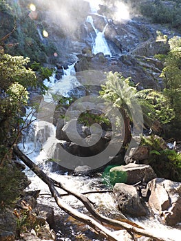 St Columba Falls, Pyengana, Tasmania