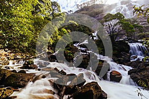 St Columba Falls in Tasmania Australia