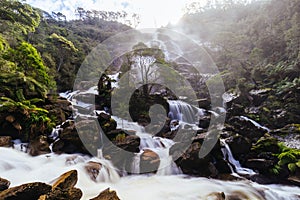 St Columba Falls in Tasmania Australia