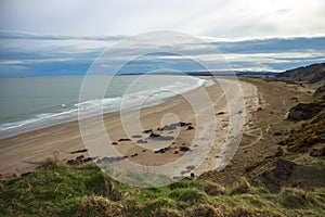 St Cyrus Beach. Aberdeenshire, Scotland, UK