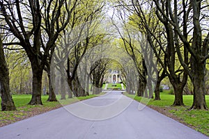 St. Francis Seminary  819282