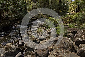 St George River at Phantom Falls at Lorne