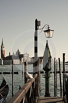 St. Giorgio and seagull in Venice, Italy