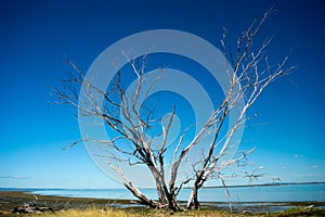 St Helena Island National Park, Queensland, Australia