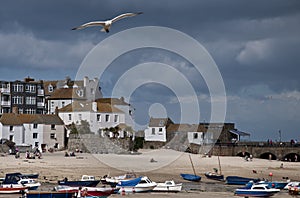 St Ives harbour at low Tide