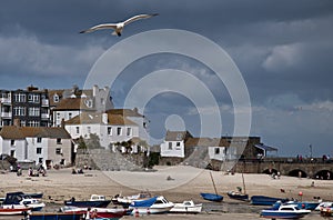 St Ives harbour at low Tide photo