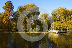 St James park in autumn, London, UK