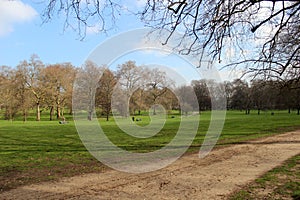 St. James Park photo