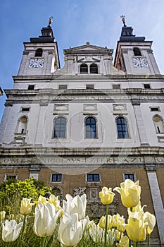 Katedrála sv. Jana Křtitele, Trnava, Slovensko