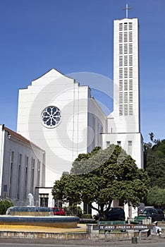 Napier Town Anglican Cathedral photo