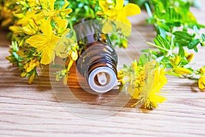 St. John`s wort flower oil in glass bottle. selective focus