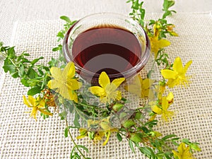 St. John's wort oil