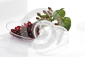 St. JohnÃÂ´s Wort plant (Hypericum perforatum) and St. John's Wort Capsules