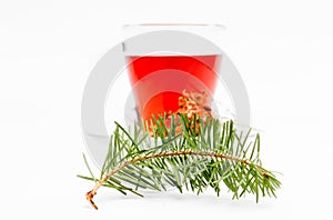 St. John`s wort tea on white background