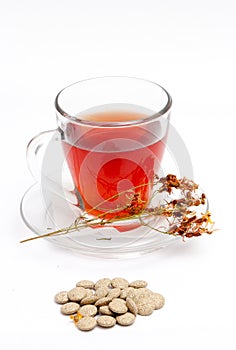 St. John`s wort tea on white background