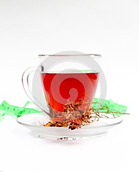 St. John`s wort tea on white background