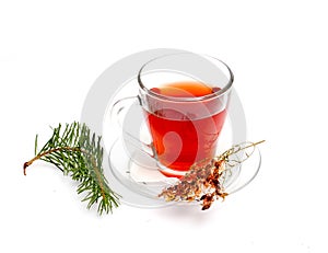 St. John`s wort tea on white background