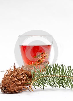 St. John`s wort tea on white background