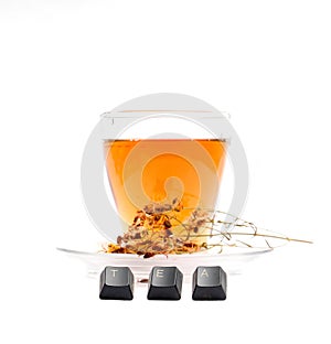 St. John`s wort tea on white background