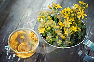 St Johns wort flowers in a large retro mug and Healthy hypericum tea - not in focus.