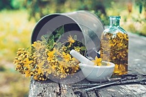 St Johns wort flowers, oil or infusion bottle, mortar and big vintage metal mug of Hypericum plants on wooden board.