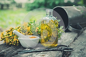 St Johns wort flowers, oil or infusion transparent bottle, mortar on wooden table outdoors.