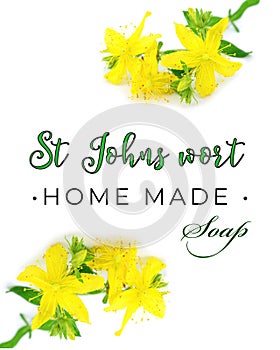 St Johns wort home made soap natual floral label