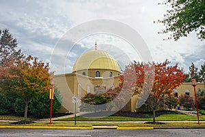 St Jude Children Hospital