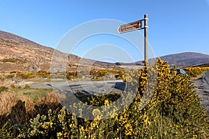 St Kevin`s Way Glendalough Ireland