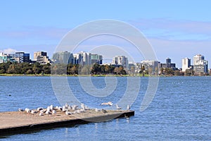 St Kilda Albert Park Melbourne