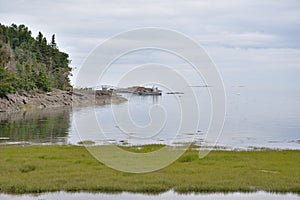 St-Lawrence river shore line on cloudy day. Exposed rocks and tree line. Ile aux LiÃ¨vres.