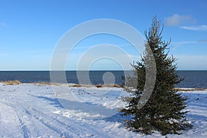 St Lawrence River photo