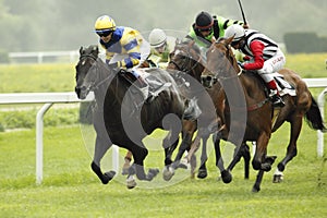 St. Leger horse racing