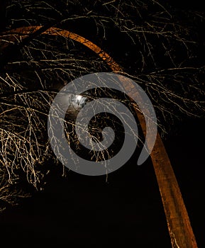 St. Louis Arch at night