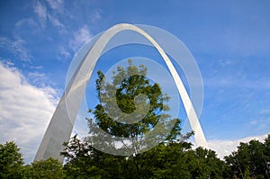 St. Louis arch and tree